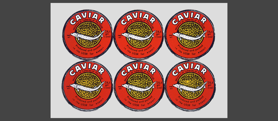 nivo slider image