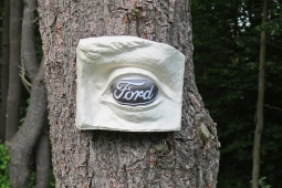 “Ford” in the Wood, 2013